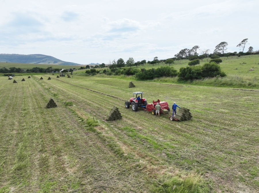 Commercial Property for Sale in Adelaide Eastern Cape
